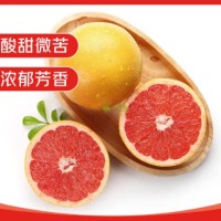 南非进口红心西柚/葡萄柚4粒装 单果280g起 新鲜水果