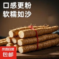 粉糯正宗铁棍山药淮山药无添加小白嘴正品垆土铁棍新鲜蔬菜 铁棍山药250g带箱 （15cm-30cm）
