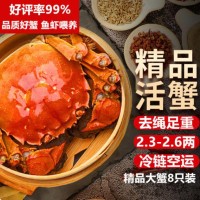【活蟹】湖鲜阳澄 大闸蟹 去绳足重 2.3-2.6两 8只 鲜活六月黄现货超大螃蟹水产礼盒装