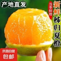 湖北秭归橙子新鲜采摘夏橙当季新鲜水果【8甜2酸】 带箱2斤55-60mm