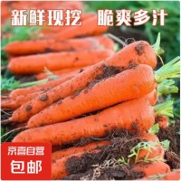 新鲜胡萝卜当季农家自种萝卜脆爽多汁水果蔬菜 新鲜胡萝卜 1斤 带箱