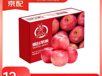 京鲜生 烟台红富士苹果 净重4.2斤 单果160-190g 生鲜水果