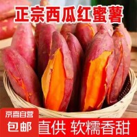 现挖西瓜红蜜薯沙地香甜软糯红心番薯山芋无丝农家自种糖心地瓜 优质西瓜红 1斤（尝鲜装） 带箱 小果（单果50g-150g）
