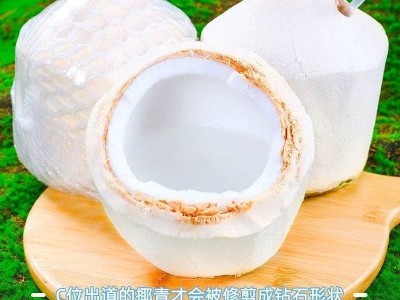 海南椰青新鲜椰子水果孕妇应季文昌热带特产椰汁椰肉香水椰果整箱