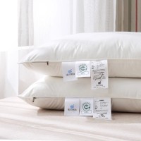 出口日本100%桑蚕丝枕头五星级酒店全棉枕芯成人护颈助睡眠家用