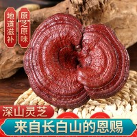灵芝片长白山赤灵芝深山紫灵芝切片正宗东北特产精选大片泡酒泡茶