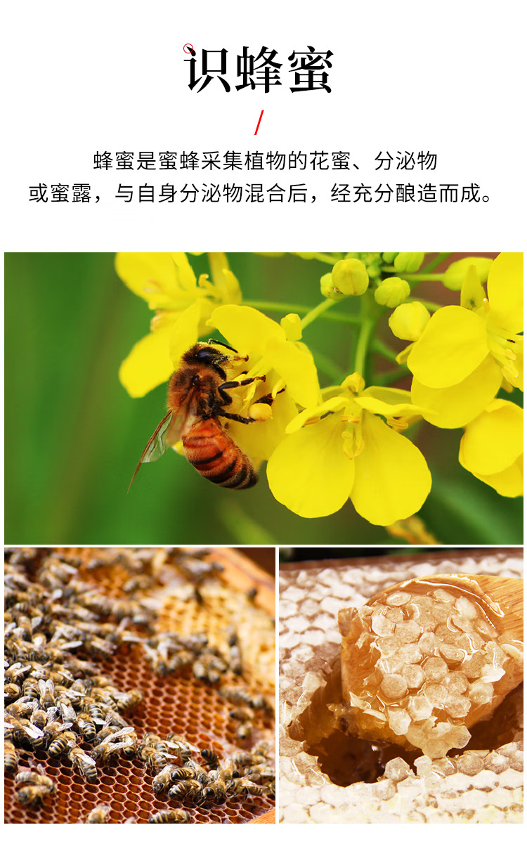 百花蜂蜜1000g 百花蜜中华老字号 早餐牛奶麦片伴侣冲饮 节日礼品