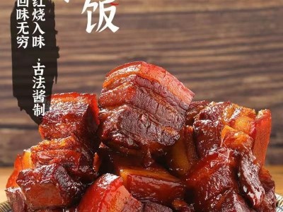 正宗红烧肉东坡肉熟食红烧猪肉五花肉真空包装开袋即食饭店商用菜共500g/2袋